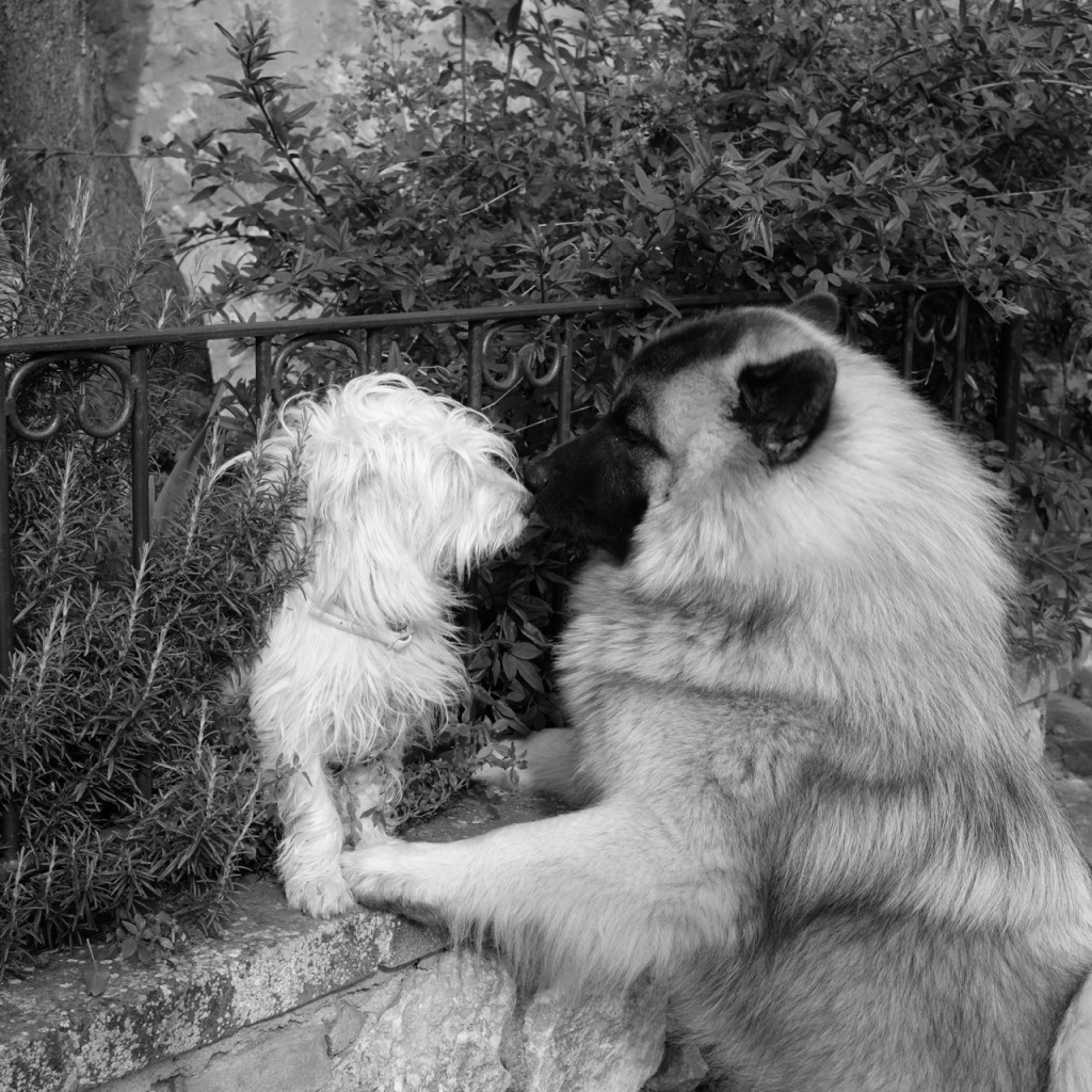 Romeo and Juliet - the balcony scene